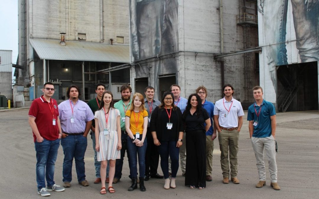 OK Foods Hires 12 New Interns for Summer